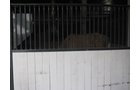 Property photo 41 - 80 Acres Offered in 4 Tracts - Horse Farm